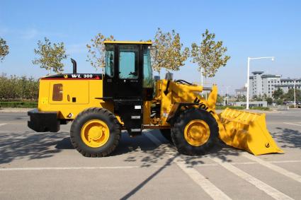 WL300