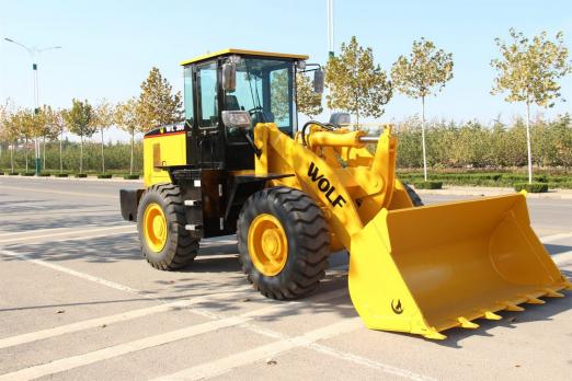 WL300